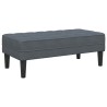 banc avec coussin Gris foncé 113 x 57 x 39 cm Velours 523924523924