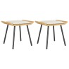 Tabouret de Jardin 2 pcs Nature 50 x 40 x 45cm Acier 523962523962