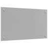 Crédence de cuisine Gris clair 70 x 40 cm verre trempé 524048524048
