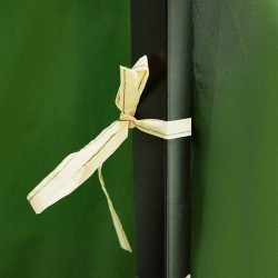 Tente intérieure avec toit Vert 520 x 520 x 190 cm taffetas 524147524147