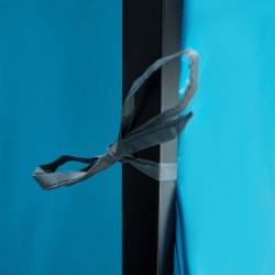 Tente intérieure avec toit Bleu 520 x 520 x 190 cm taffetas 524149524149