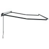 Cadre d'auvent Anthracite 4 x 2 m Métal 524181524181