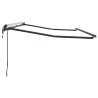Cadre d'auvent Anthracite 4 x 2 m Métal 524193524193