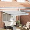 Cadre d'auvent Réglable Anthracite 3,5 x 2,5 m Acier 524211524211