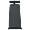 Banc pour abdominaux Noir 124 x 33,5 x 55 cm 524279524279