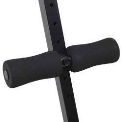 Banc pour abdominaux Noir 124 x 33,5 x 55 cm 524279524279