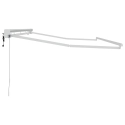 Cadre d'auvent Réglable Blanc 4 x 2 m Acier 524325524325