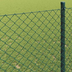 Clôture en treillis métallique Vert 25 x 1,6 m Acier 524565524565