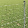 Clôture Euro 0,6 x 10 m Fer revêtu de PVC 524599524599