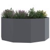 Jardinière Anthracite 120 x 120 x 50 cm Acier 525118525118