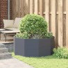 Jardinière Anthracite 120 x 120 x 50 cm Acier 525118525118