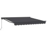 Cadre d'auvent Anthracite 300 x 250 cm 525906525906