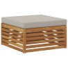 Ensemble de canapés d'extérieur 4 pcs Gris Naturel et Clair 526664526664