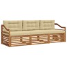 Ensemble de canapés d'extérieur 3 pcs Naturel et Beige 526667526667