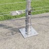 Poteau de clôture. Galvanisé 25 x 1,6 m Acier 528355528355