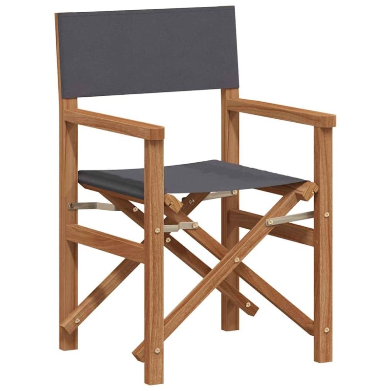 Chaise de directeur pliante Gris 55 x 54 x 85 cm 528709528709