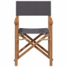 Chaise de directeur pliante Gris 55 x 54 x 85 cm 528709528709