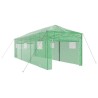 Serre avec cadre pop-up avec toit Vert 290 x 870 x 315 cm Fer 528836528836