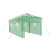 Serre avec cadre pop-up avec toit Vert 290 x 580 x 315 cm Fer 528840528840