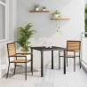 Chaises empilables de jardin 2 pcs Marron et Noir 528872528872