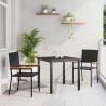Chaises empilables de jardin 2 pcs Noir et Marron 528905528905