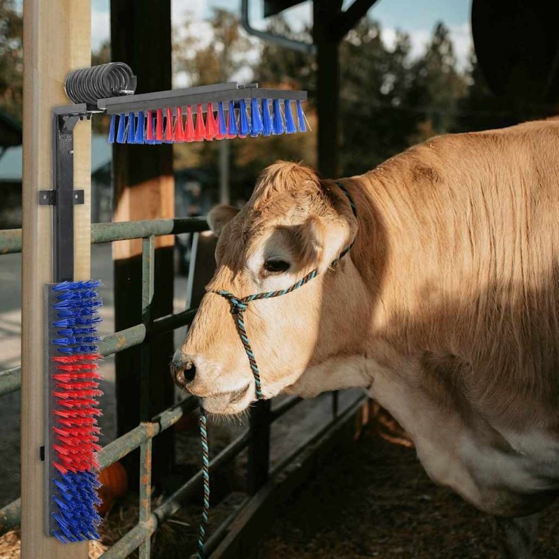 Brosses pour le bétail Rouge et bleu 84 x 10 x 91 cm PVC 528911528911