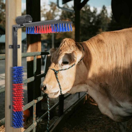 Brosses pour le bétail Rouge et bleu 84 x 10 x 91 cm PVC 528911528911