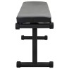 Banc de poids Noir 108 x 27 x 41 cm Acier enduit de poudre 528928528928