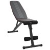 Banc de musculation Noir 131 x 41 x 110 cm 528930528930