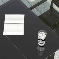 Table à dîner de jardin Noir 160x80x74 cm Acier et verre trempé 529924529924
