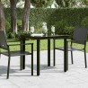 Table à dîner de jardin Noir 80x80x74 cm Acier et verre 529999529999
