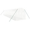Serre avec cadre en acier blanc 20 m² 10x2x2 m 530105530105