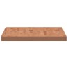 Dessus de table 100x60x4 cm rectangulaire bois massif de hêtre 530114530114