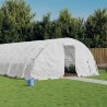 Serre avec cadre en acier blanc 30 m² 6x5x2,3 m 530134530134