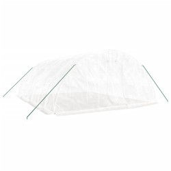 Serre avec cadre en acier blanc 30 m² 6x5x2,3 m 530134530134