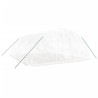 Serre avec cadre en acier blanc 30 m² 6x5x2,3 m 530134530134