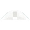 Serre avec cadre en acier blanc 30 m² 6x5x2,3 m 530134530134