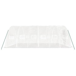 Serre avec cadre en acier blanc 30 m² 6x5x2,3 m 530134530134