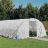 Serre avec cadre en acier blanc 32 m² 8x4x2 m 530138530138