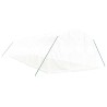 Serre avec cadre en acier blanc 30 m² 10x3x2 m 530141530141