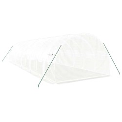 Serre avec cadre en acier blanc 30 m² 10x3x2 m 530141530141
