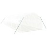 Serre avec cadre en acier blanc 30 m² 10x3x2 m 530141530141