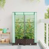 Jardinière surélevée avec housse aspect rotin 80x40x123 cm 530956530956