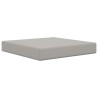 Coussin de canapé d'extérieur 2 pcs Gris Polyester 531072531072