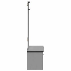 Armoire de couloir avec crochets BODO gris 50x40x157 cm 531181531181