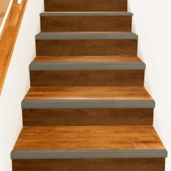 Nez de marche 10 pcs Champagne 67 x 3 x 2 cm Aluminium 531184531184