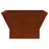 Foyer de cheminée Marron 60 x 60 x 35 cm Acier patiné 531327531327