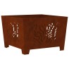Braise Marron 60 x 60 x 40 cm Acier patiné 531351531351