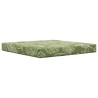 Coussin de canapé d'extérieur 2 pcs Modèle feuille Polyester 531361531361