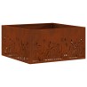 Foyer de cheminée Marron 60 x 60 x 30 cm Acier patiné 531428531428